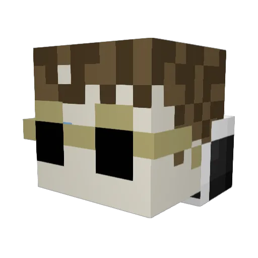 fjordnob1 Minecraft avatar head, 3D render