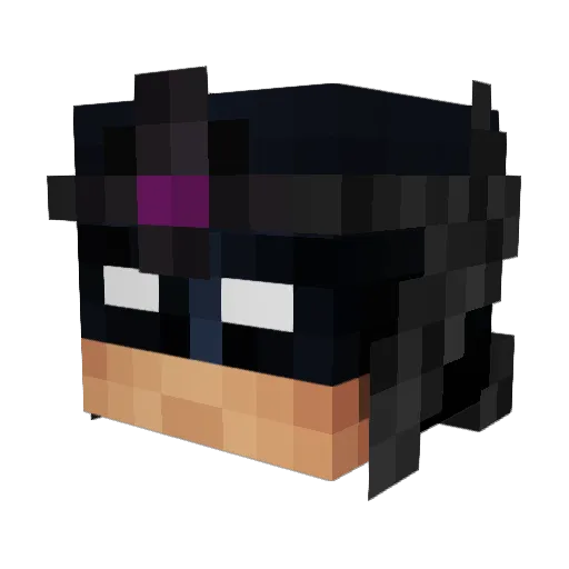 fjpoo Minecraft avatar head, 3D render