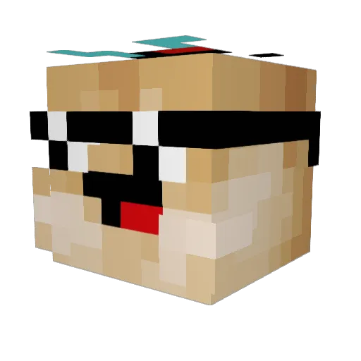 fjr012 Minecraft avatar head, 3D render