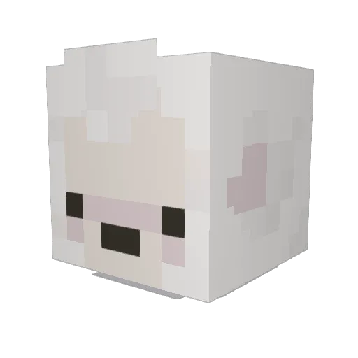fjrdddd Minecraft avatar head, 3D render