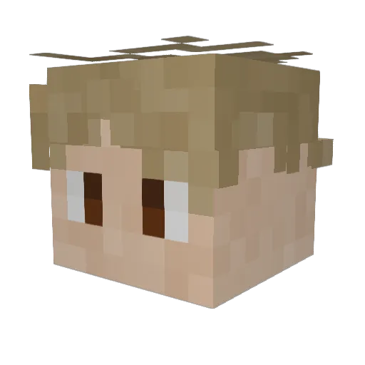 fjulle_ Minecraft avatar head, 3D render