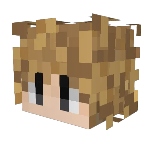 fk_ni Minecraft avatar head, 3D render