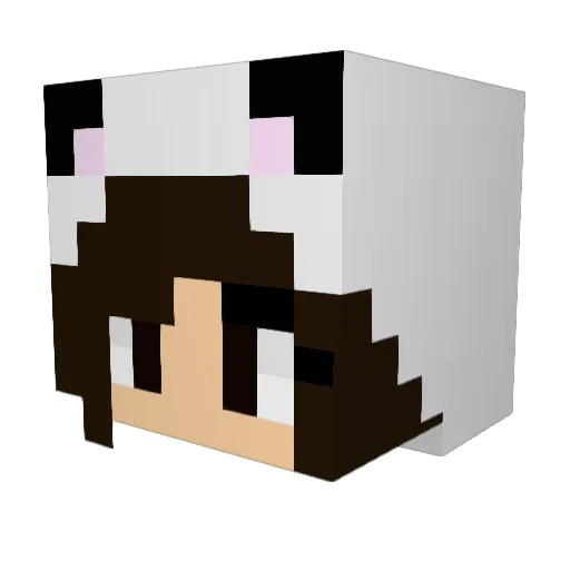 fkalfkal Minecraft avatar head, 3D render