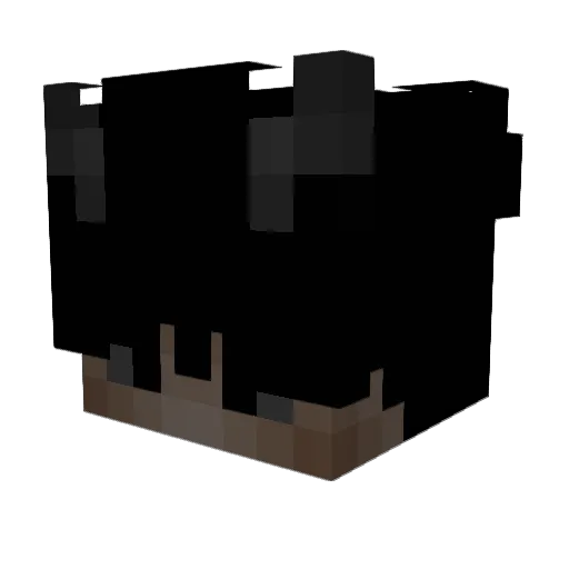 fkbambam Minecraft avatar head, 3D render