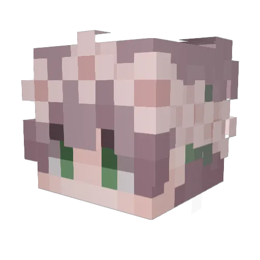 fkbooster Minecraft avatar head, 3D render