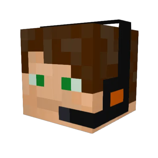 fkdjafijjefajfef Minecraft avatar head, 3D render