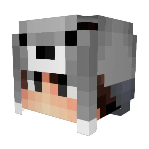 fkk66066 Minecraft avatar head, 3D render