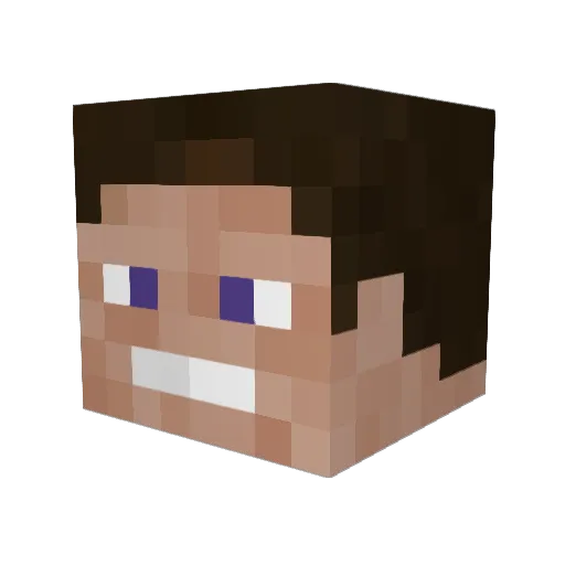 fkng5 Minecraft avatar head, 3D render