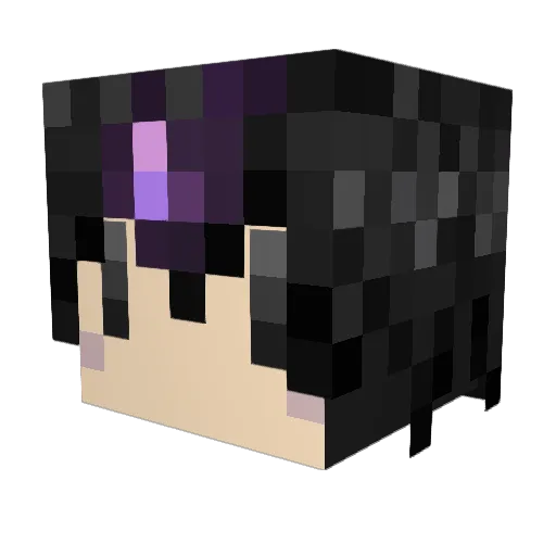 fkw010 Minecraft avatar head, 3D render