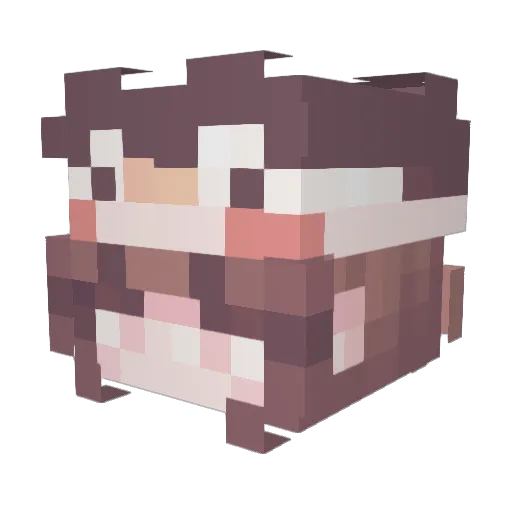fl0ff0 Minecraft avatar head, 3D render