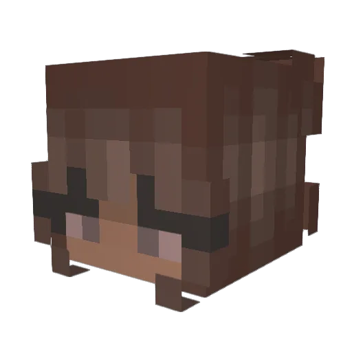 fl0sg1rl Minecraft avatar head, 3D render