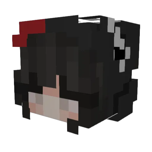 fl0wer44 Minecraft avatar head, 3D render