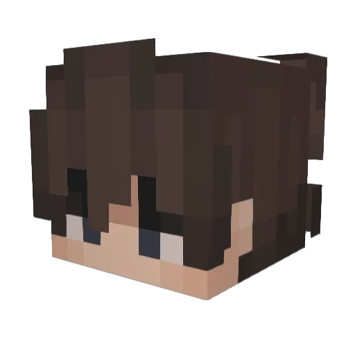 fl0werf1elds Minecraft avatar head, 3D render