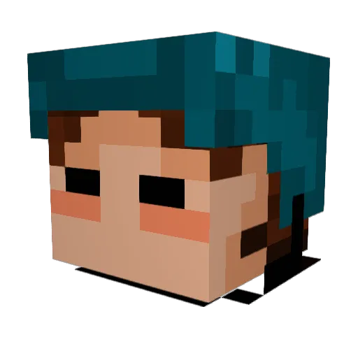 fl0werp0wer10 Minecraft avatar head, 3D render