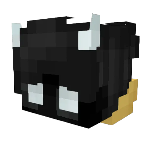 fl0wowp4rty Minecraft avatar head, 3D render