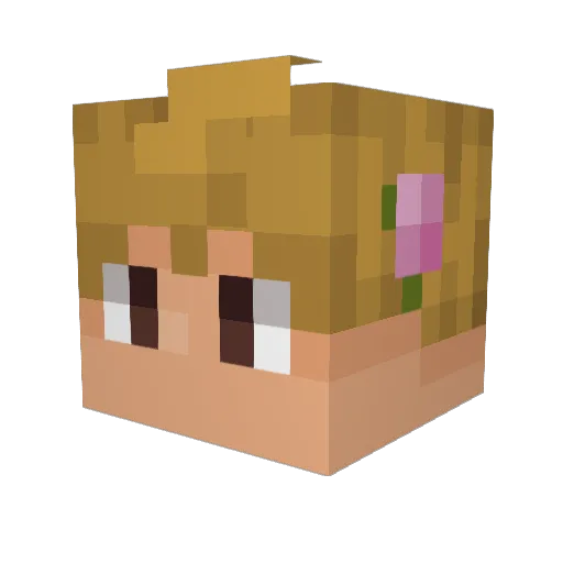 fl0www Minecraft avatar head, 3D render