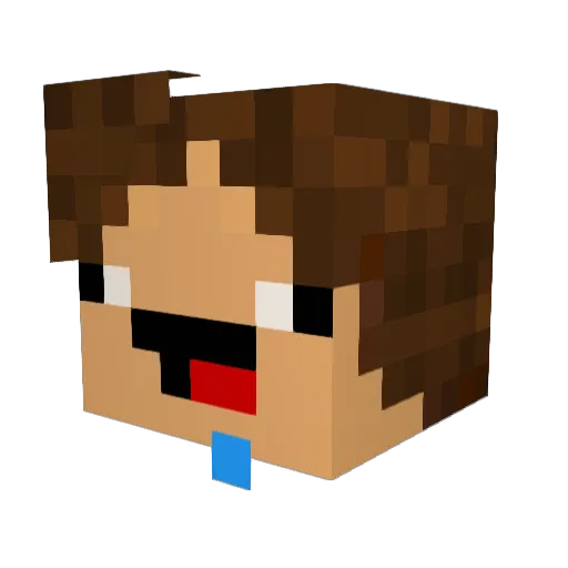 fl1ntt Minecraft avatar head, 3D render