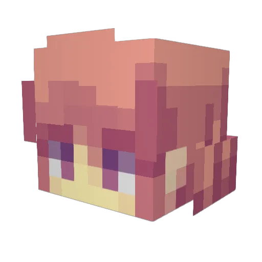 fl1spy Minecraft avatar head, 3D render