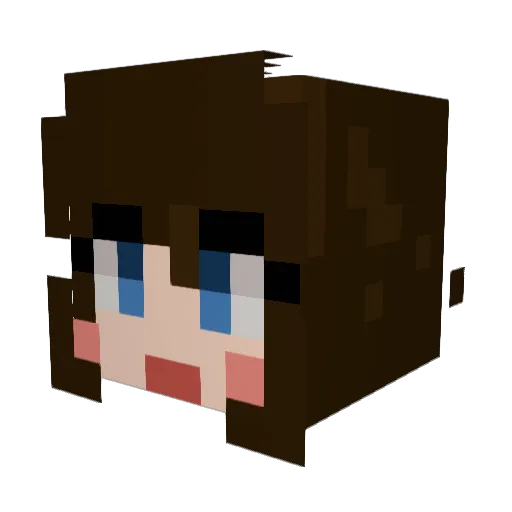fl4tlin3 Minecraft avatar head, 3D render