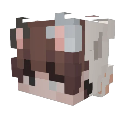 fla_ko Minecraft avatar head, 3D render
