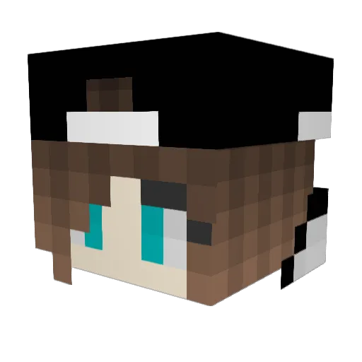 flaberszaj Minecraft avatar head, 3D render