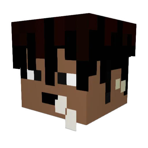 flacocaca Minecraft avatar head, 3D render