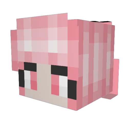 fladenlava Minecraft avatar head, 3D render