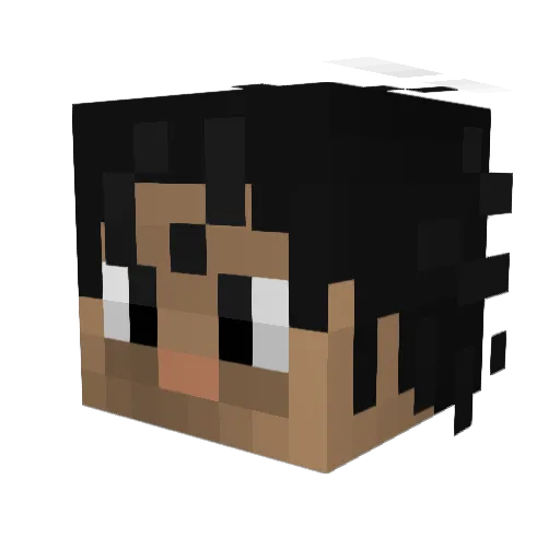 flaff Minecraft avatar head, 3D render
