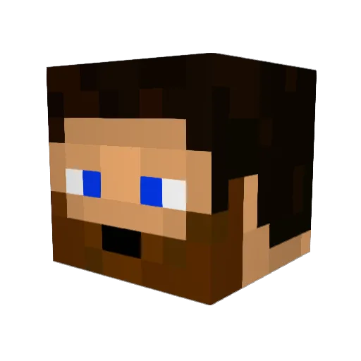 flahla Minecraft avatar head, 3D render