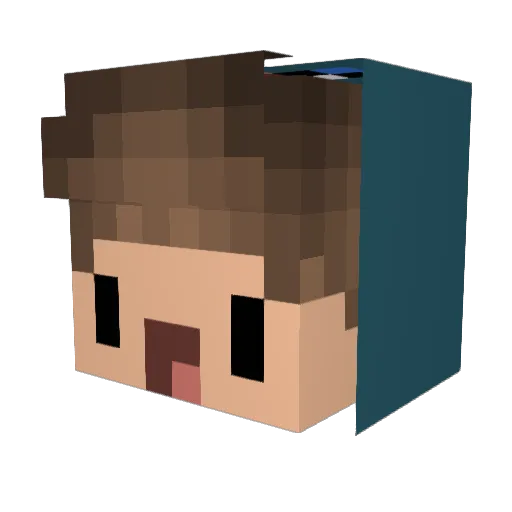 flakkaa Minecraft avatar head, 3D render