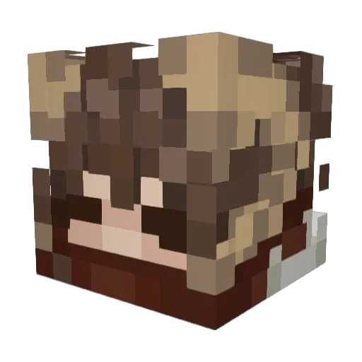 flakoon Minecraft avatar head, 3D render