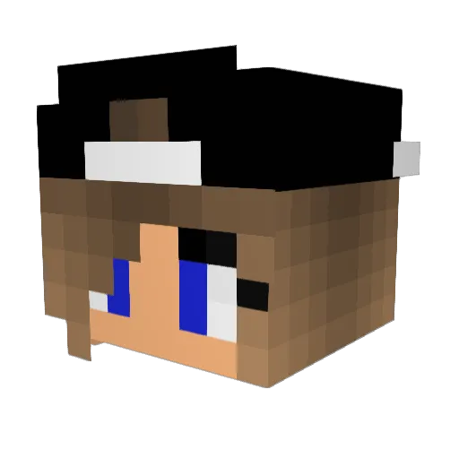 flam1ng_pheonix Minecraft avatar head, 3D render