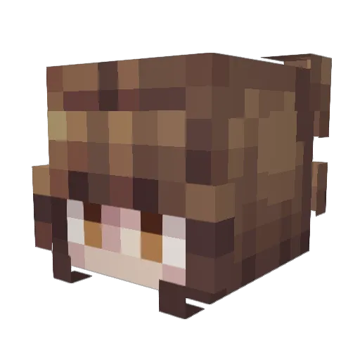 flame123456789 Minecraft avatar head, 3D render