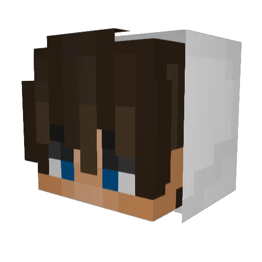 flame_gtx Minecraft avatar head, 3D render
