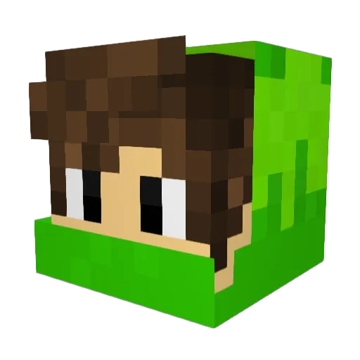 flamearrows1 Minecraft avatar head, 3D render