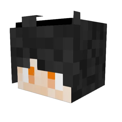 flameinthehood Minecraft avatar head, 3D render
