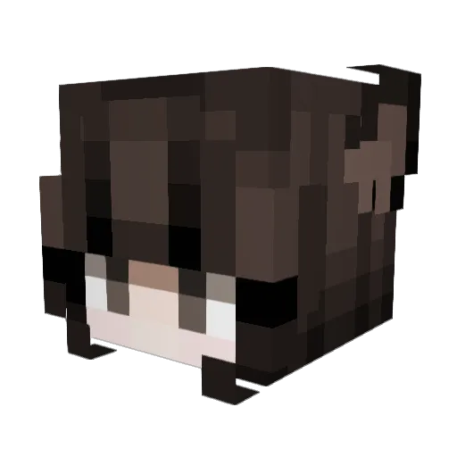 flamestorm1324 Minecraft avatar head, 3D render