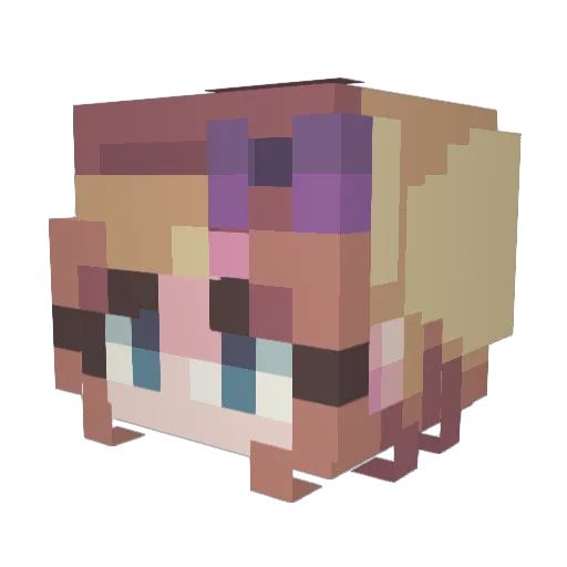 flamethrower1122 Minecraft avatar head, 3D render