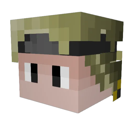 flamez69 Minecraft avatar head, 3D render