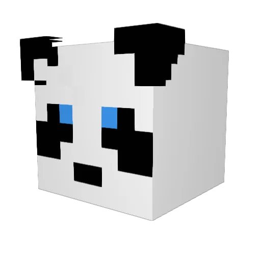flaming_panda123 Minecraft avatar head, 3D render