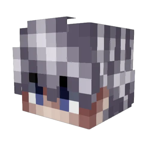 flaming_unknown Minecraft avatar head, 3D render