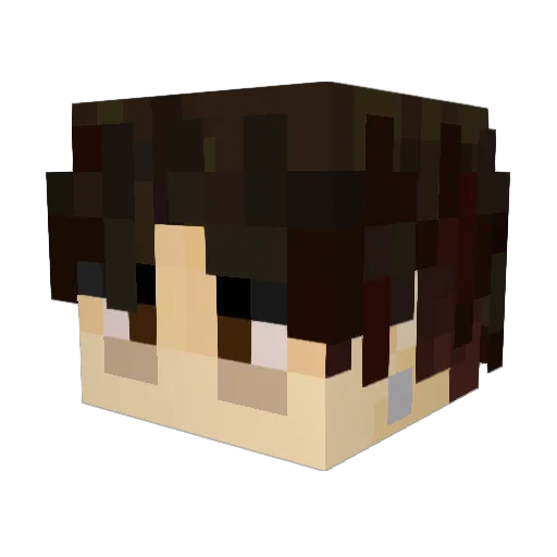flamingbean83 Minecraft avatar head, 3D render