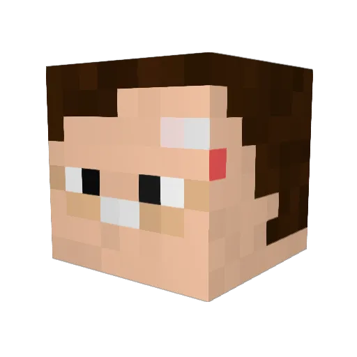 flamingobarn Minecraft avatar head, 3D render