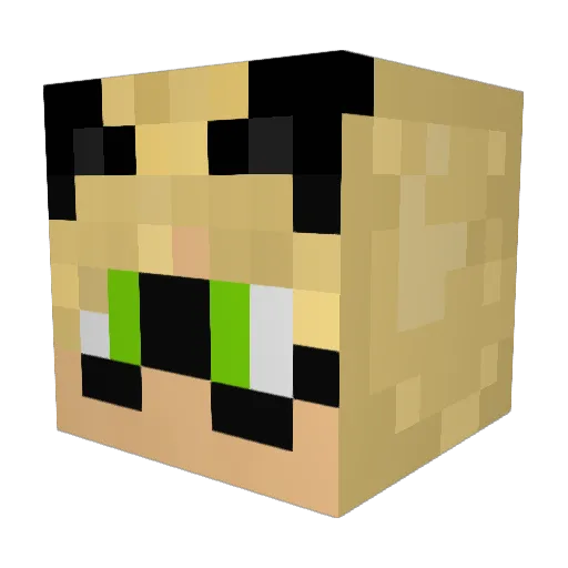 flamintiddi Minecraft avatar head, 3D render