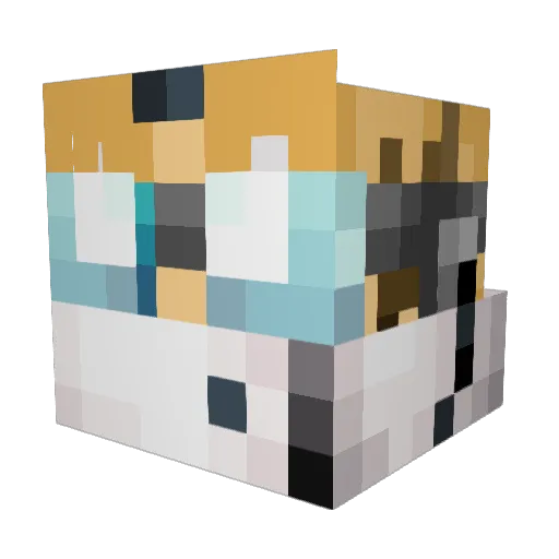 flammable_ Minecraft avatar head, 3D render