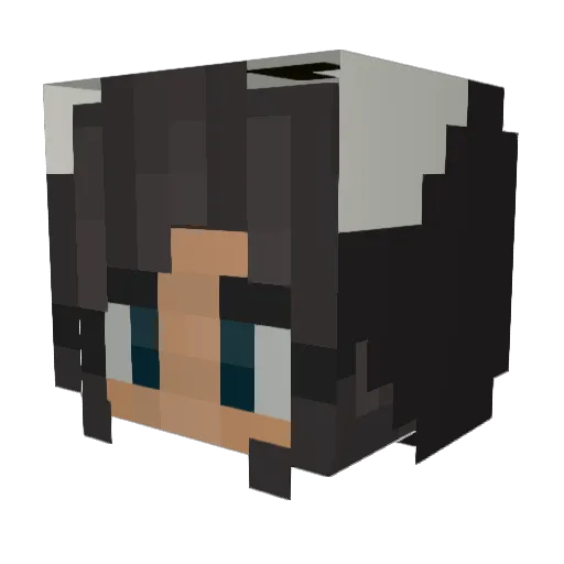 flanabananacake Minecraft avatar head, 3D render