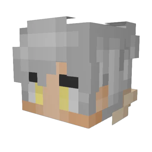flank902 Minecraft avatar head, 3D render