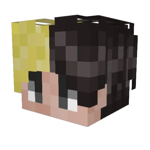 flapjack11 Minecraft avatar head, 3D render