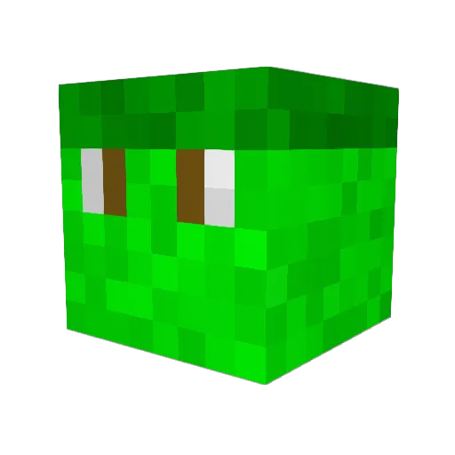 flapjacks7 Minecraft avatar head, 3D render