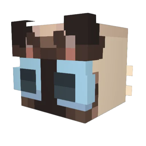 flappenwe Minecraft avatar head, 3D render